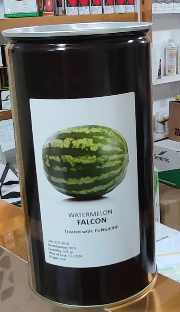 IMG_۲۰۲۵۰۷۲۸_۱۵۵۰۳۸