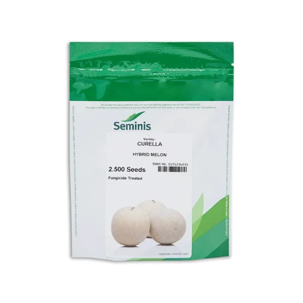 بذر ملون کرولا