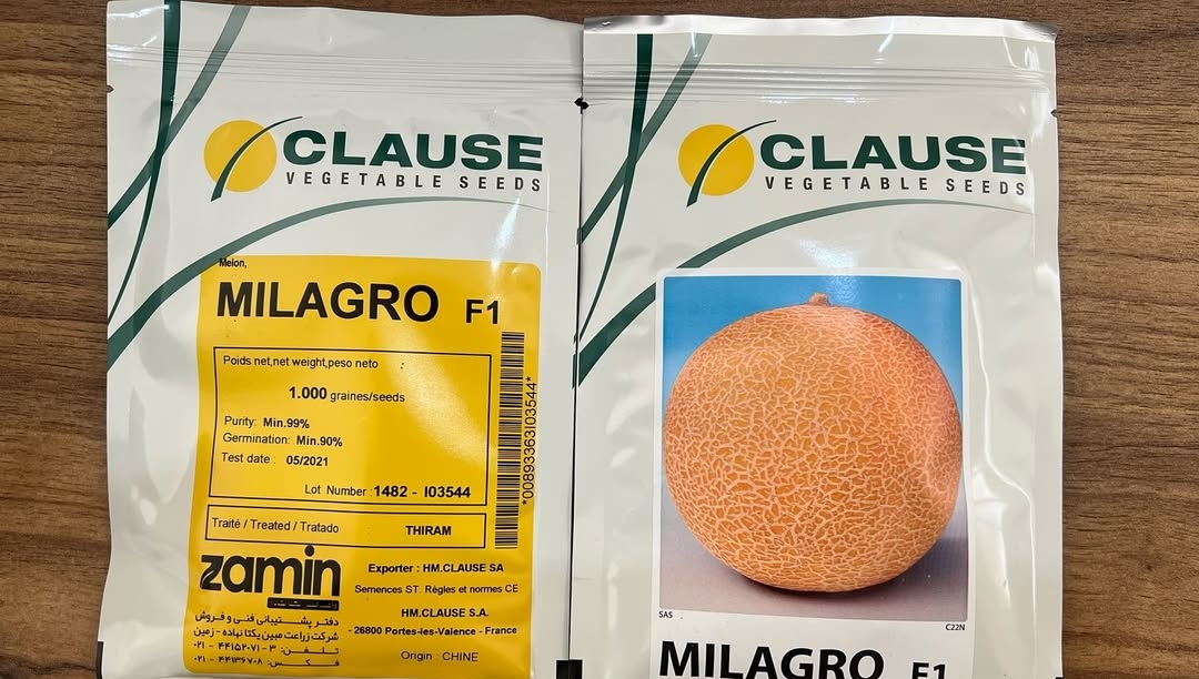 IMG_۲۰۲۵۰۸۰۶_۰۲۰۳۰۷