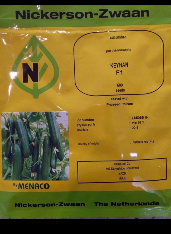 بذر خیار گلخلنه ای کیهان