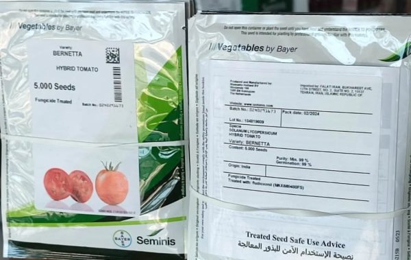 بذر گوجه برنتا